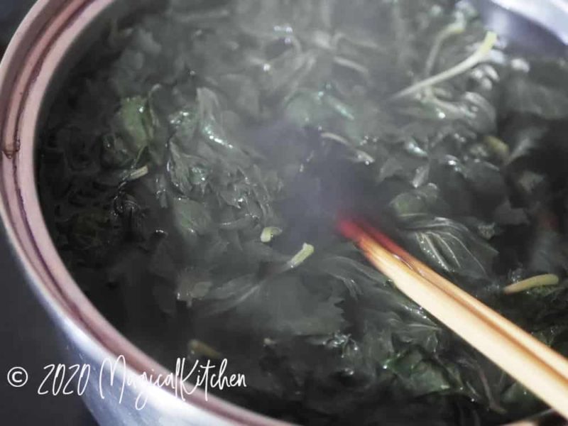 赤紫蘇を湯で煮る