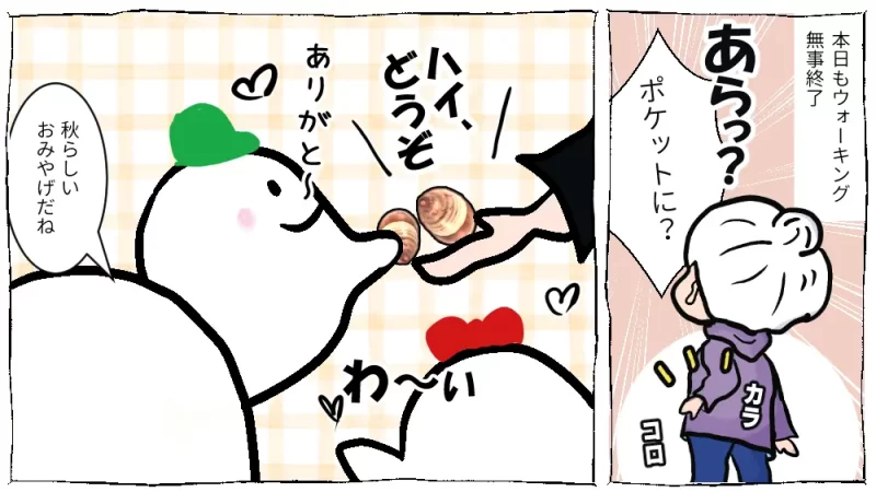 チクチクとの闘い in 田舎あるある漫画16ページ目、ポケットからどんぐり