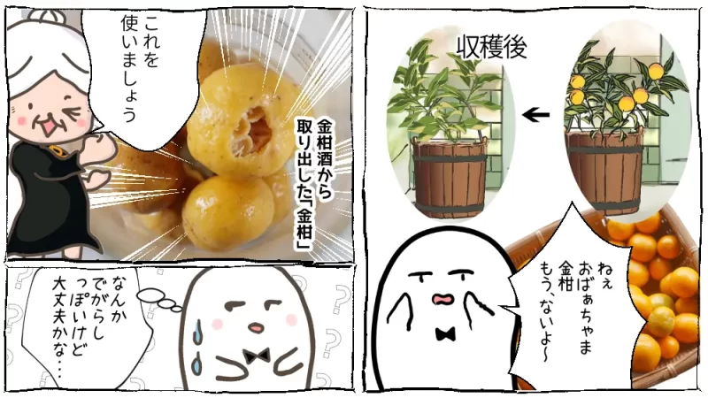 ほろ酔い金柑、魔女とおばけ漫画13段目：金柑酒から取り出した金柑で