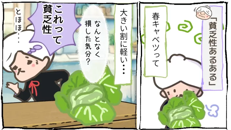 おばぁちゃまは貧乏性、春キャベツ編漫画：6段目　春キャベツと貧乏性
